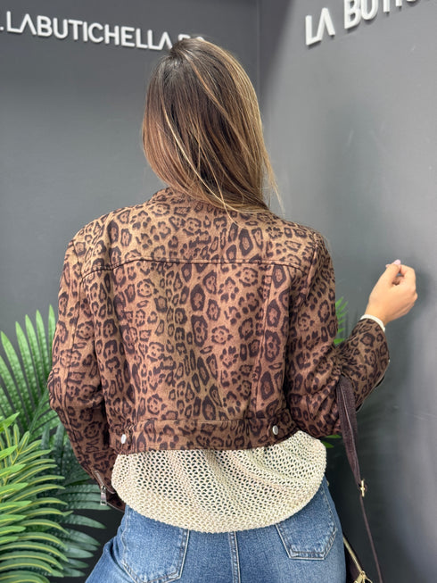 JACHETĂ FELINE GLAM